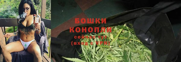 сатива Медвежьегорск